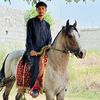 abdulahadjutt79