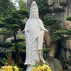 nguyen_19790527