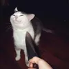 danielluvv11