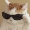 judedadude72