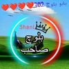 shanibaloch3546