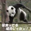 sykemaru0206