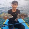 anaksial44