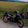 alii_skrn