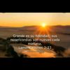 betcita_1