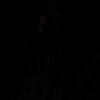 its_yapp