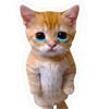 lakloveyou7