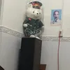nguyenmanhtruong011