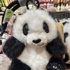 yuxiwixi
