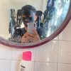 user8053083909737