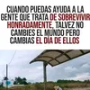 darioalvarezjose