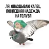 sijey.rayli