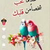 user5773133574.750