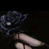 ciamistea05