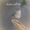 taki.m52