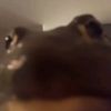 diegojoserodrigue29