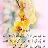 syedwasif357