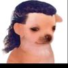 ivansillo777.7