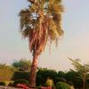ejazahmed_123