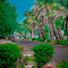hassanadoum61