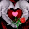 sahil_afg11