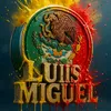 luismgp1221