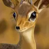 hajarsahra