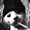 yosan_41