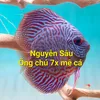 nguyensau_7x