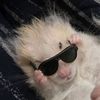 ihaveahamster3