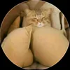 purri_official_ahre