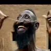 frigulathemember1