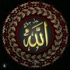 nigar1974_
