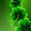 user6501283156008