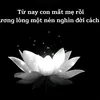 mi.th35