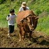 user7470527416168