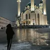 kaif_ex