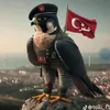 .f162737