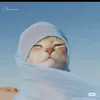paradilaagisni