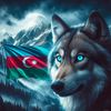 bozqurd0544