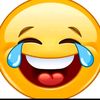 funnyanimals_pv111