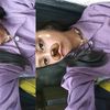 qillaimupp0