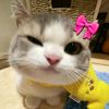 jjhn_19