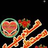 user4528174229047