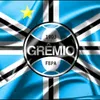 gremiocampeaodetudo7