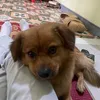 vducdangiucute