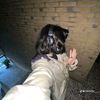 malak.elkholy64