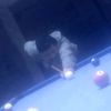 user4521702795311