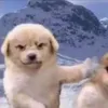 michalak_kdot