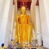 mutelu_28